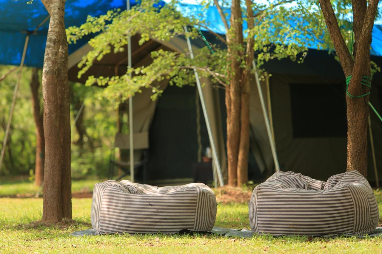 Hotel Big Game - Wilpattu By Eco Team Exterior foto